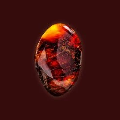 Candle Shack Amber Noir Fragrance Oil