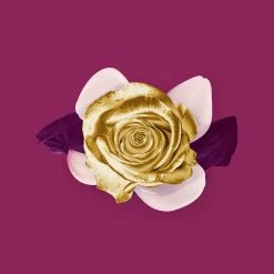 Candle Shack Arabian Silk Fragrance Oil What's New