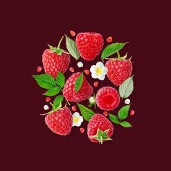 Candle Shack What's New Black Raspberry & Peppercorn Fragrance Oil