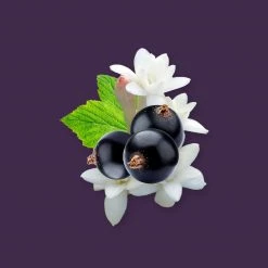 Candle Shack Blackcurrant & Tuberose Fragrance Oil What's New