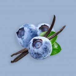 Candle Shack What's New Blueberry & Vanilla Fragrance Oil