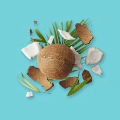 Candle Shack Coconut Island Fragrance Oil What's New