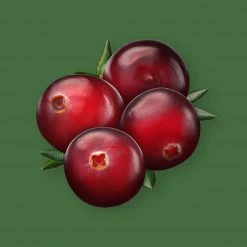 Candle Shack Festive Cranberry Fragrance Oil What's New