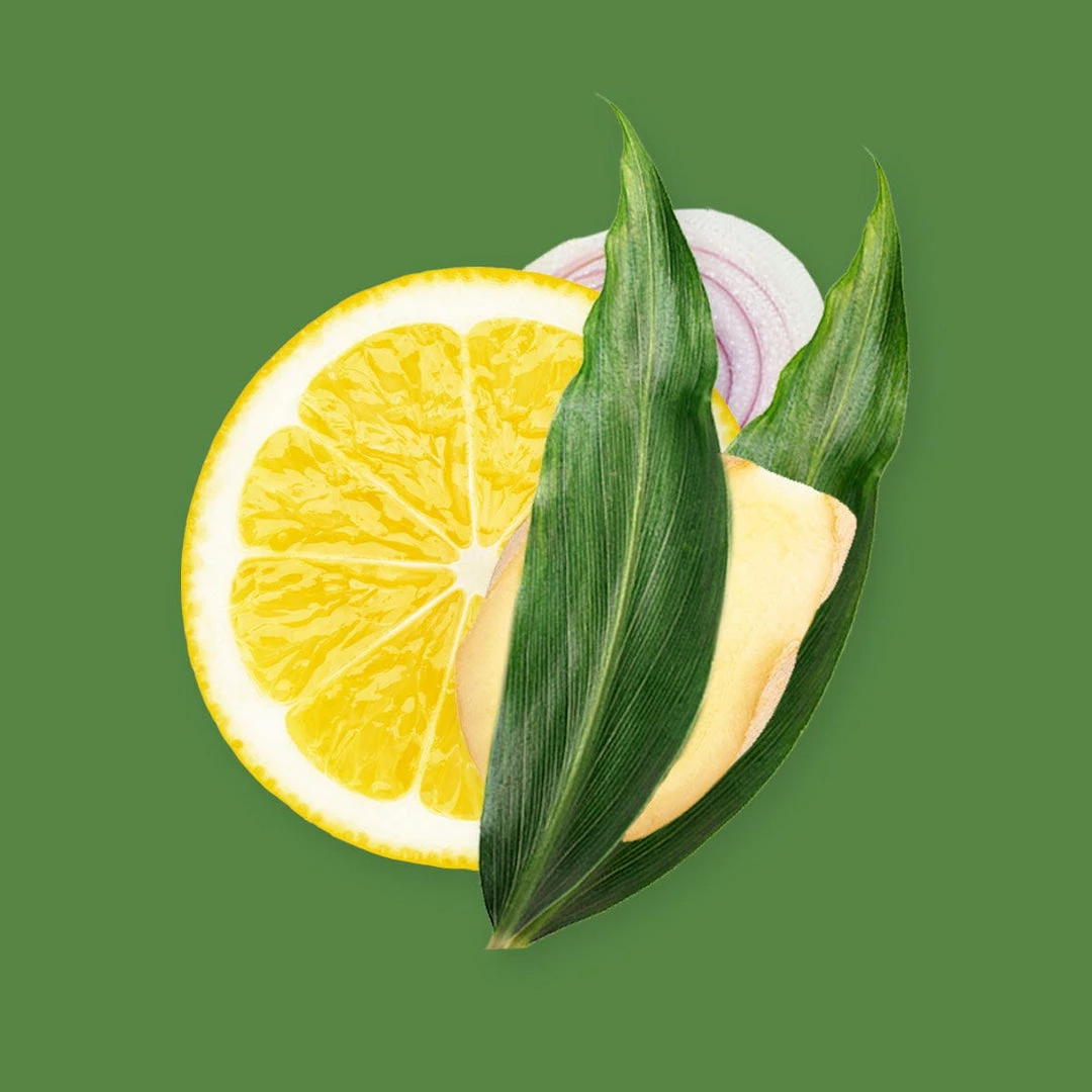 Candle Shack Lemongrass & Ginger Fragrance Oil What's New 1 Candle Shack Lemongrass & Ginger Fragrance Oil What's New