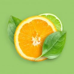 Candle Shack Lime, Basil & Mandarin Fragrance Oil