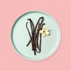 Candle Shack Luscious Vanilla Fragrance Oil What's New