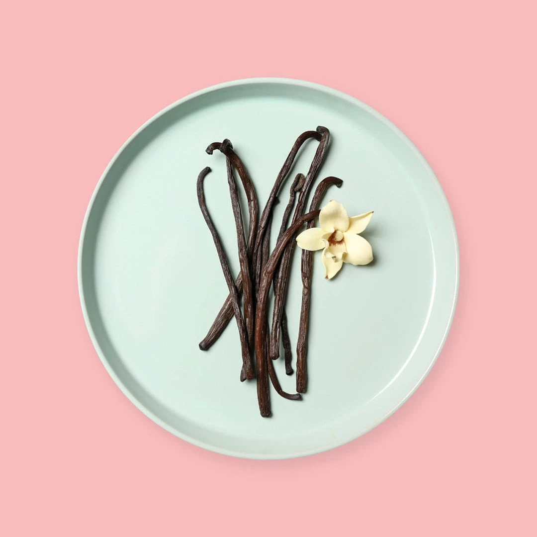 Candle Shack Luscious Vanilla Fragrance Oil What's New 1 Candle Shack Luscious Vanilla Fragrance Oil What's New