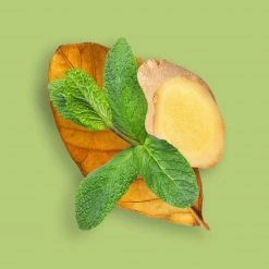 Candle Shack Mint Ginger & Tobacco Fragrance Oil