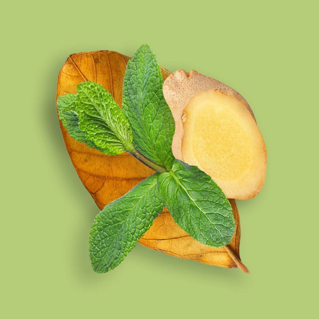 Candle Shack Mint Ginger & Tobacco Fragrance Oil 1 Candle Shack Mint Ginger & Tobacco Fragrance Oil