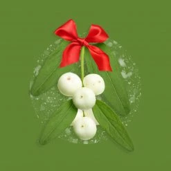 Candle Shack Mistletoe Kisses Fragrance Oil