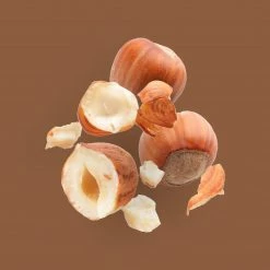 Candle Shack Nutcracker Fragrance Oil What's New