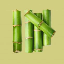 Candle Shack Oriental Bamboo Fragrance Oil