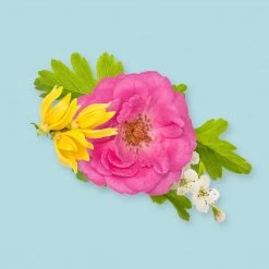 Candle Shack What's New Parisienne Spring Fragrance Oil