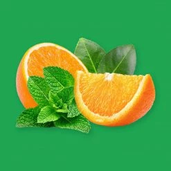 Candle Shack What's New Peppermint & Eucalyptus Fragrance Oil