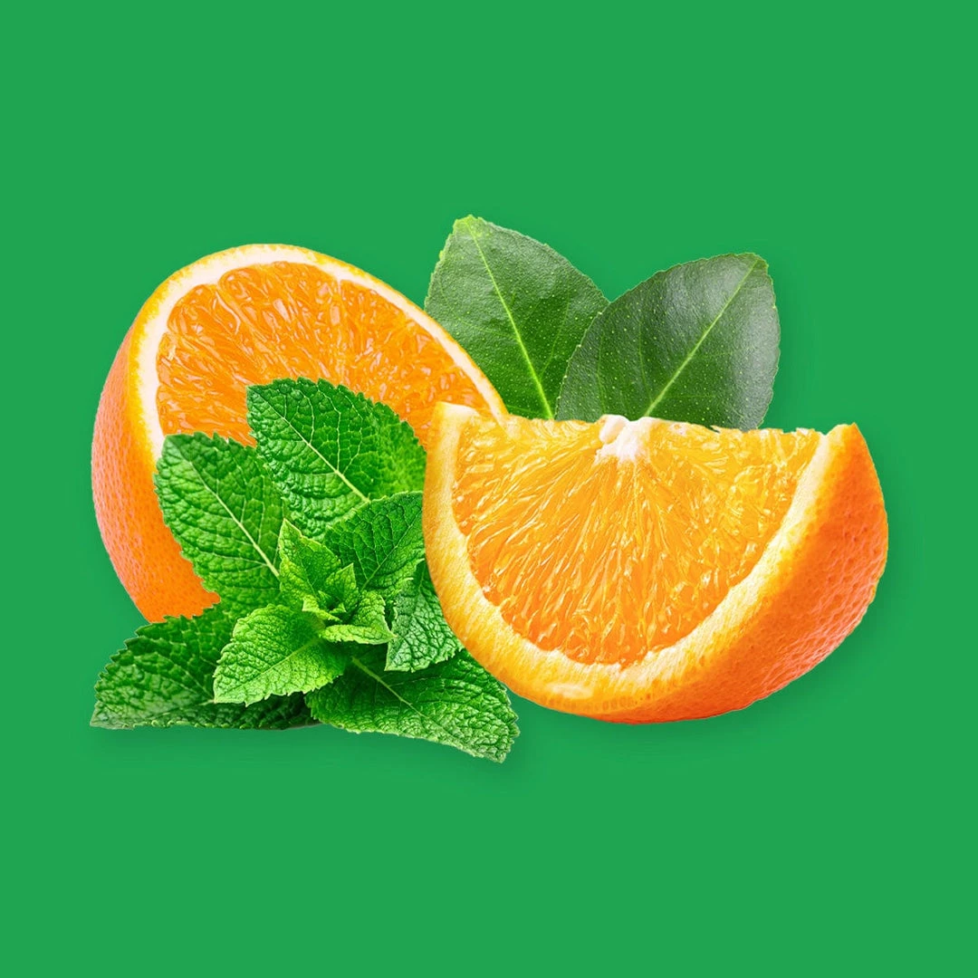 Candle Shack What's New Peppermint & Eucalyptus Fragrance Oil 1 Candle Shack What's New Peppermint & Eucalyptus Fragrance Oil