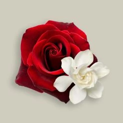 Candle Shack What's New Persian Bazaar Fragrance Oil