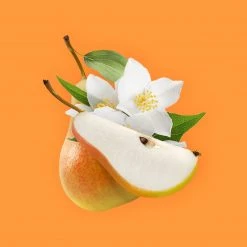 Candle Shack Rosewood & Velvet Fragrance Oil