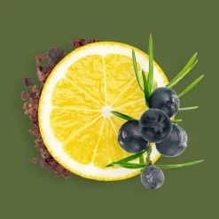 Candle Shack Seaweed & Juniper Fragrance Oil What's New