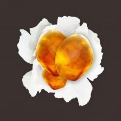 Candle Shack What's New White Musk & Amber Fragrance Oil