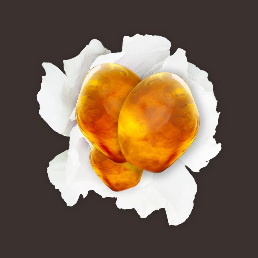 Candle Shack What's New White Musk & Amber Fragrance Oil 1 Candle Shack What's New White Musk & Amber Fragrance Oil