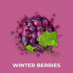 Candle Shack Winter Berries Fragrance Oil