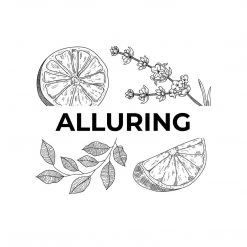 Candle Shack Alluring What's New