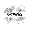 Candle Shack What's New Cedarwood & Geranium