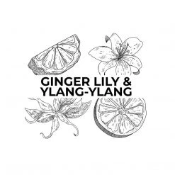 Candle Shack Ginger Lily & Ylang-Ylang What's New