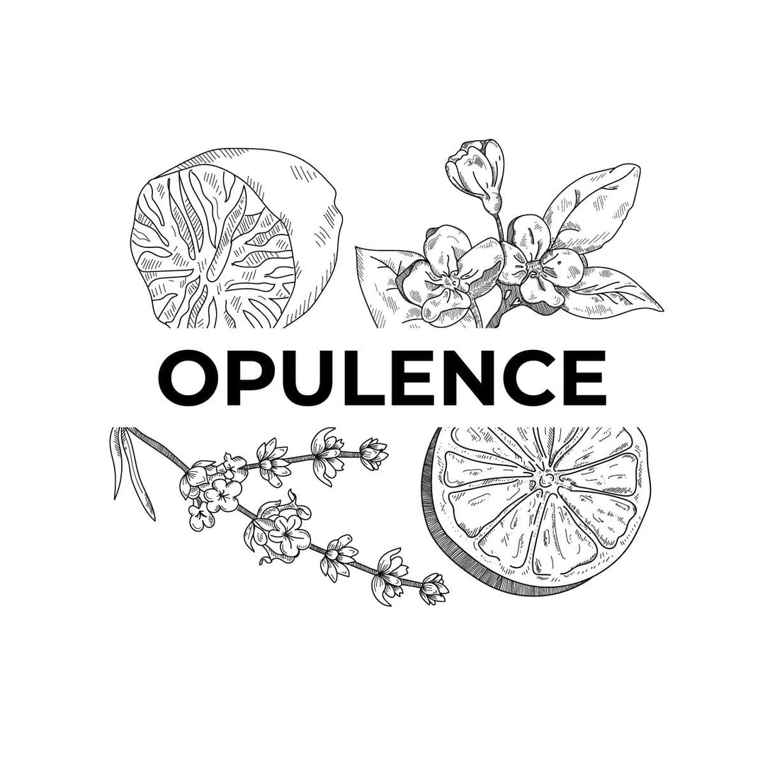 Candle Shack What's New Opulence 1 Candle Shack What's New Opulence