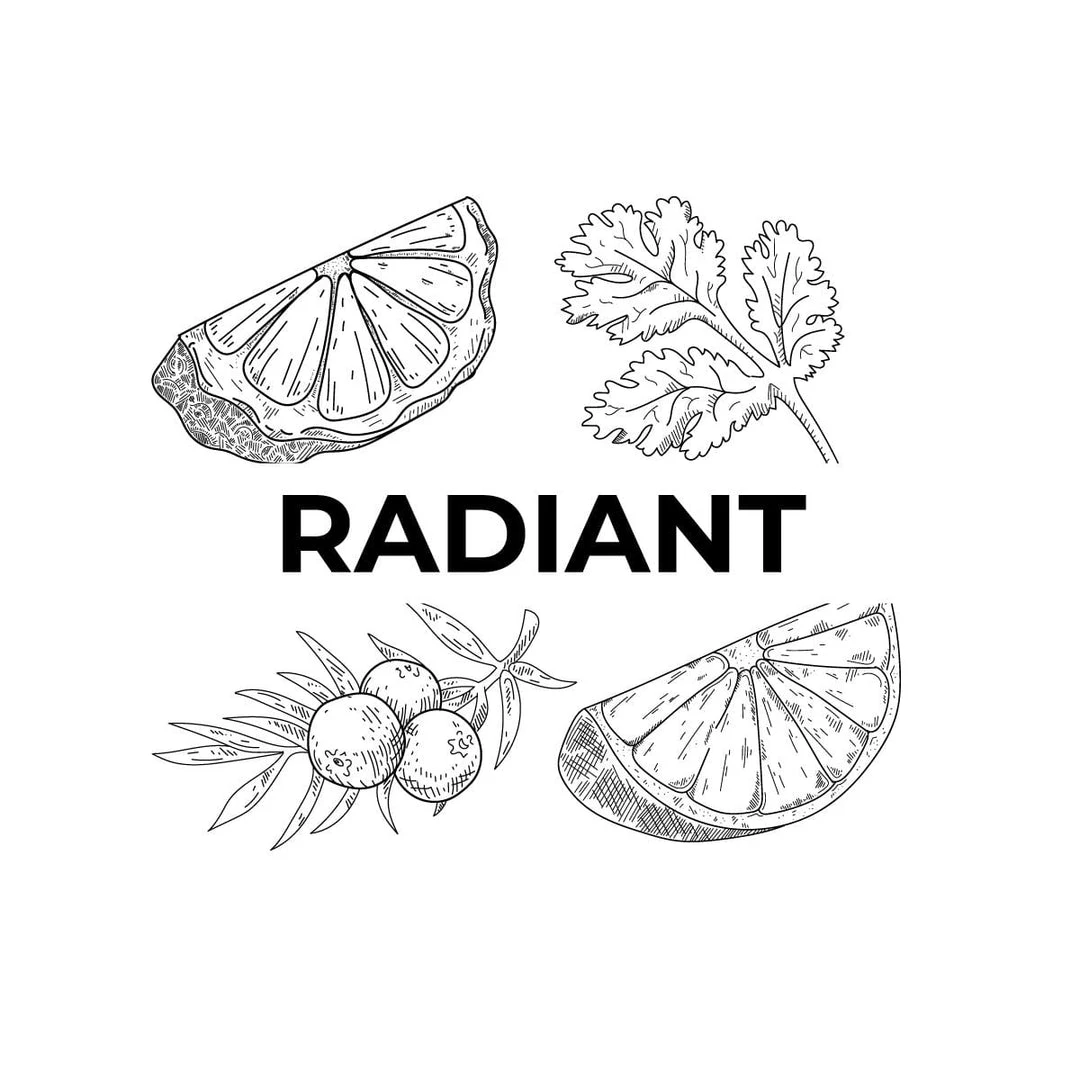 Candle Shack What's New Radiant 1 Candle Shack What's New Radiant