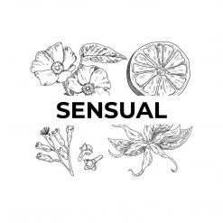 Candle Shack Sensual