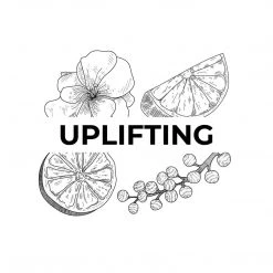 Candle Shack What's New Uplifting