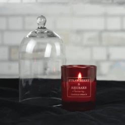 Candle Shack What's New Sample Candle For 20CL Strawberry & Rhubarb In CS1 Recipe